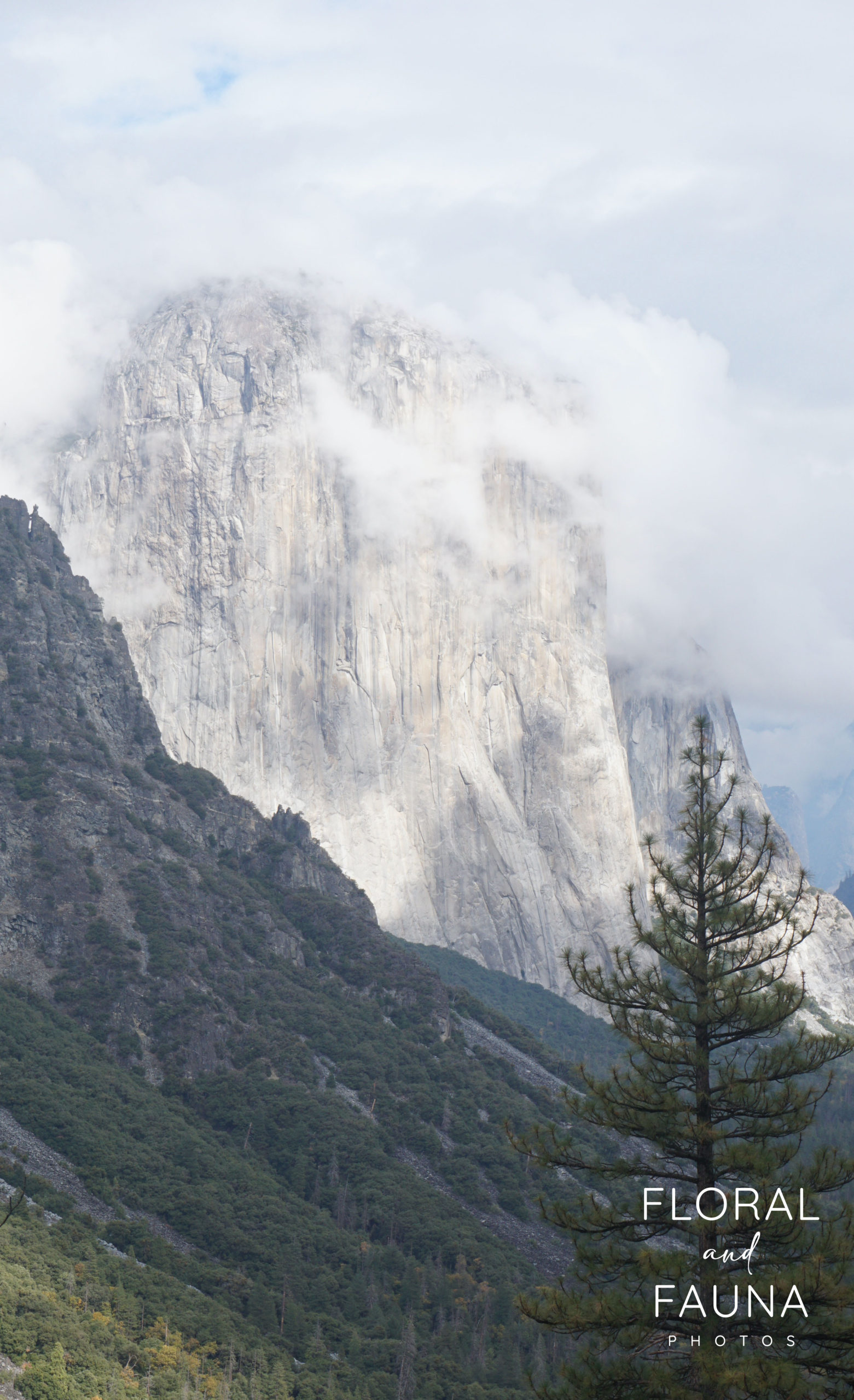 Take the Anxiety out of your National Park Trip