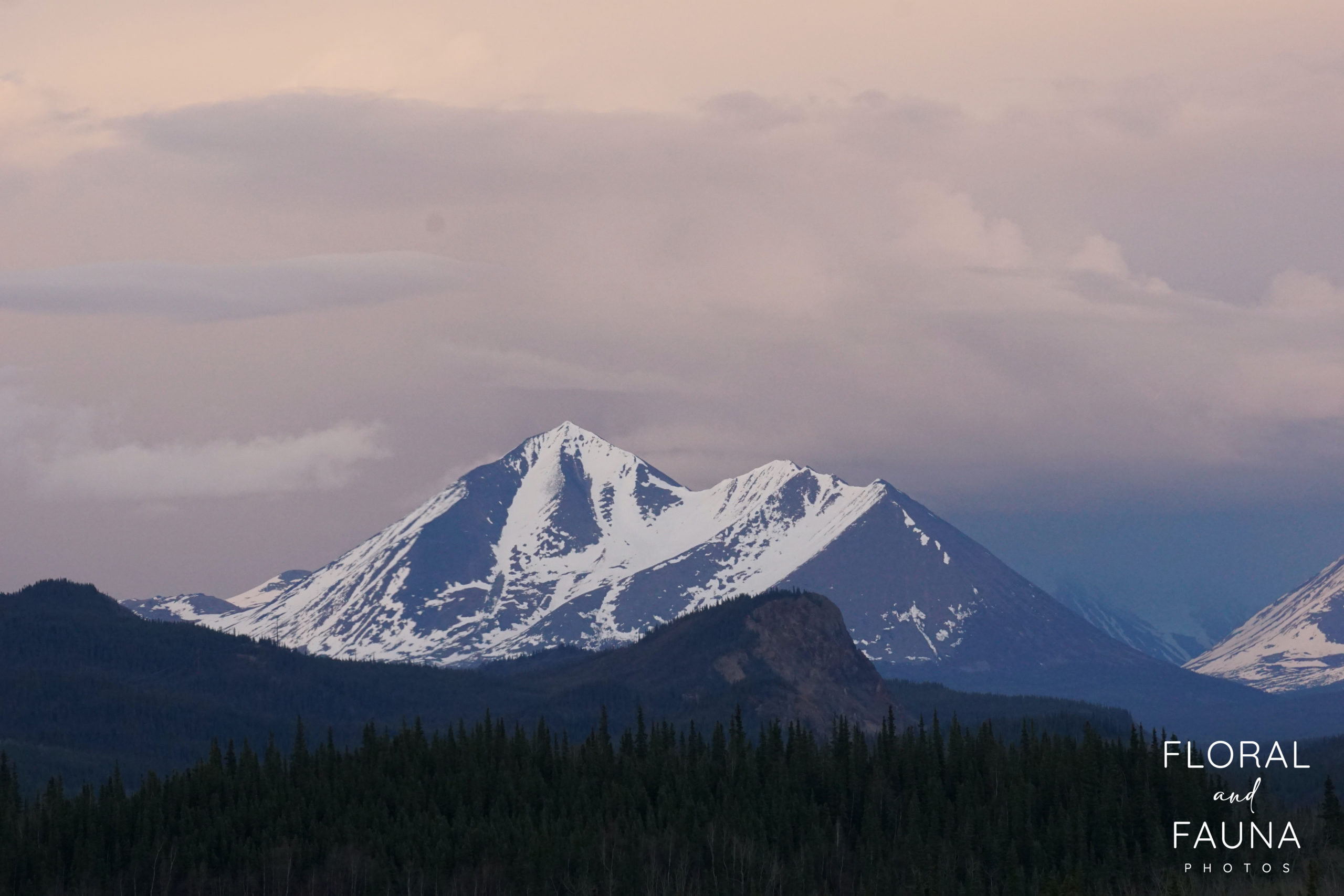 The Best Alaskan Vacation in 12 Days