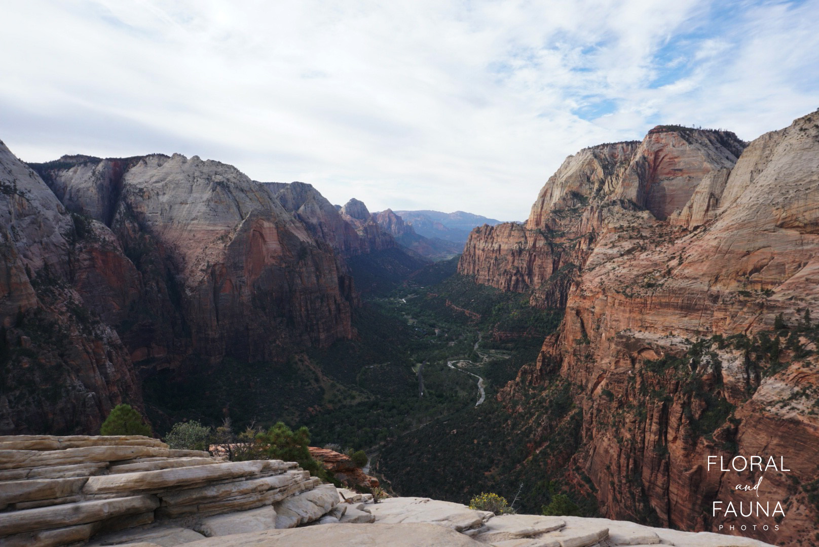 Angel’s Landing… how to hike this dangerous trail, safely