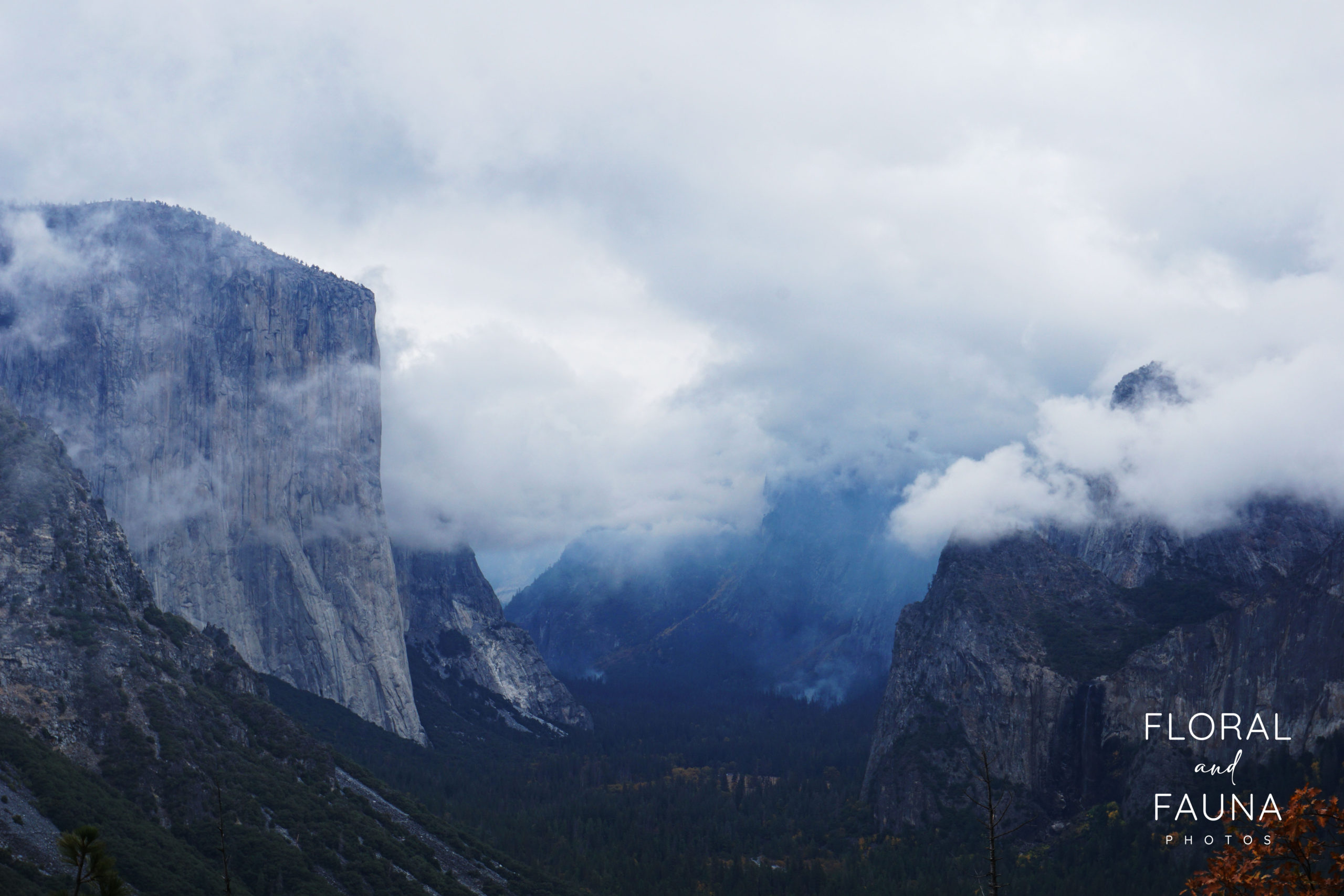 The Best of Yosemite National Park in 3 Days